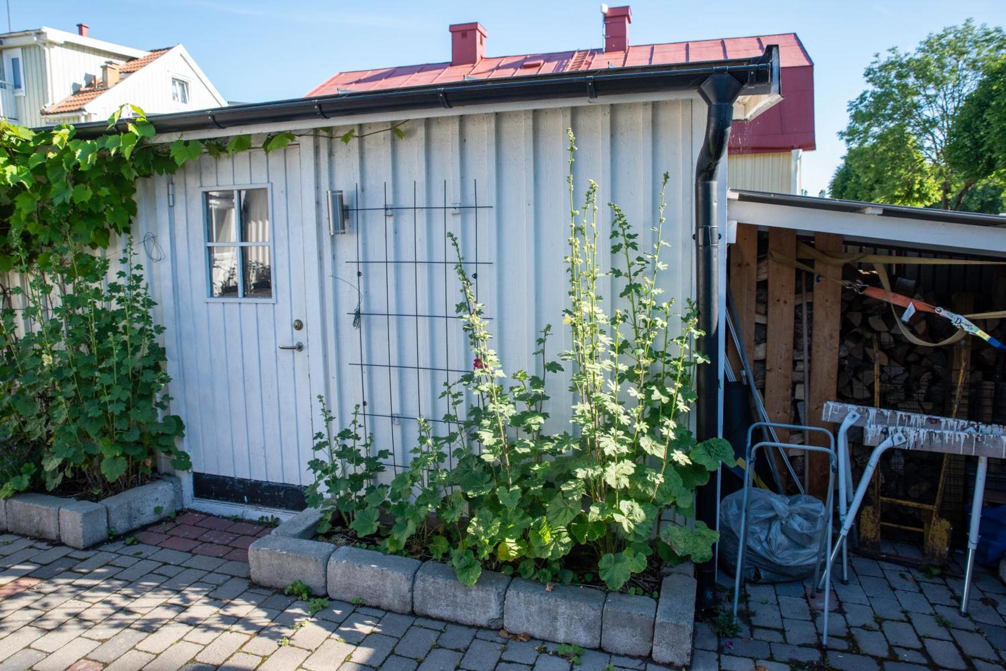 Guest House Tullgatan 24 Borgholm Esterno foto